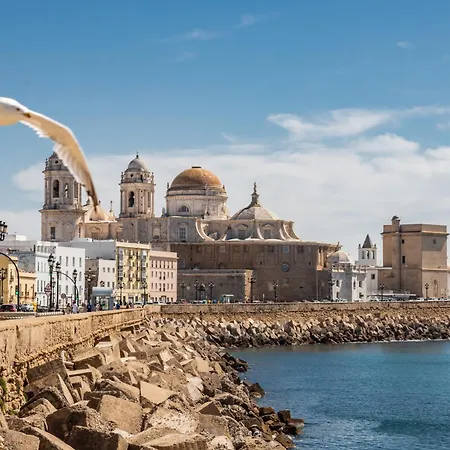 Apartman Nature By Time *