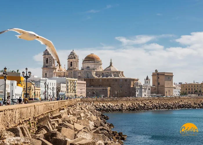 Apartment Nature By Time *